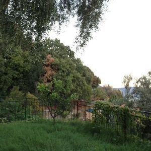 Meet your Posher, Alla